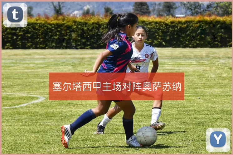 塞尔塔西甲主场对阵奥萨苏纳
